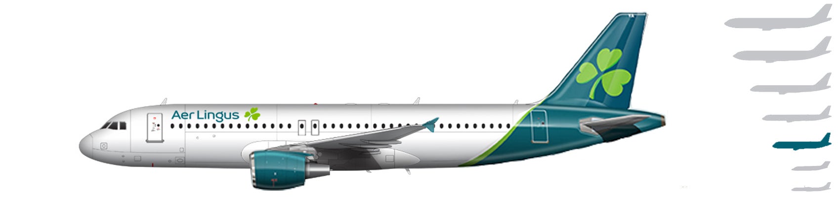 aer lingus baggage allowance